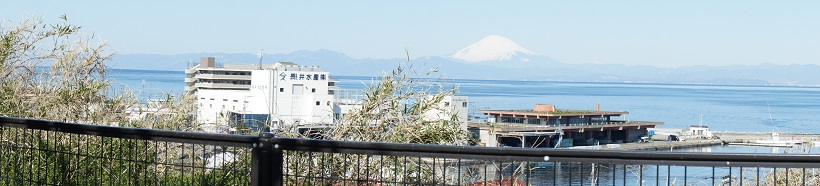 学校から見える富士山